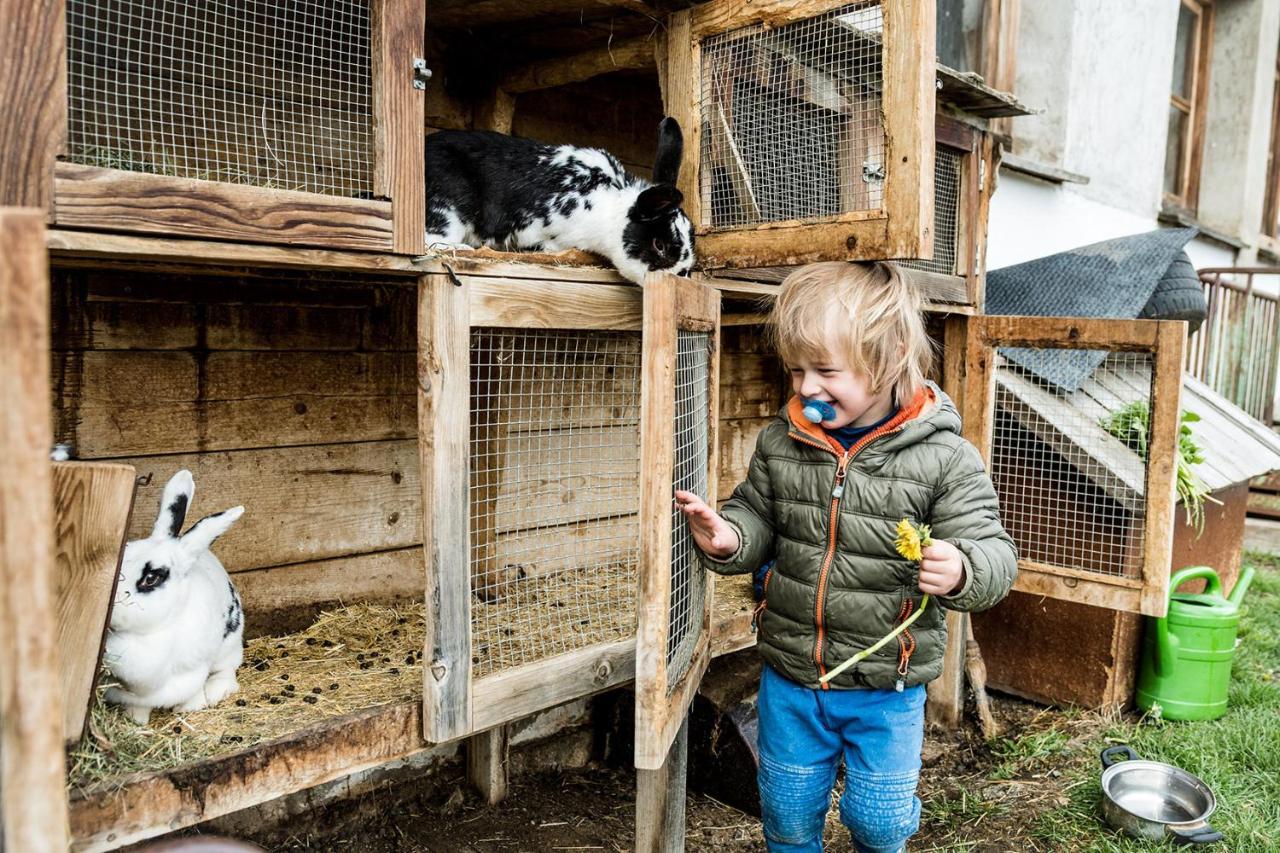 Hatzeshof Blumenwiese Lägenhet Laion Exteriör bild